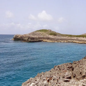 Meet your Posher, Dellon